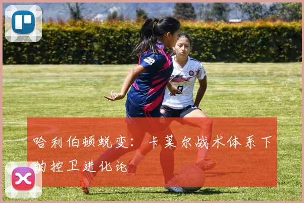哈利伯顿蜕变：卡莱尔战术体系下的控卫进化论