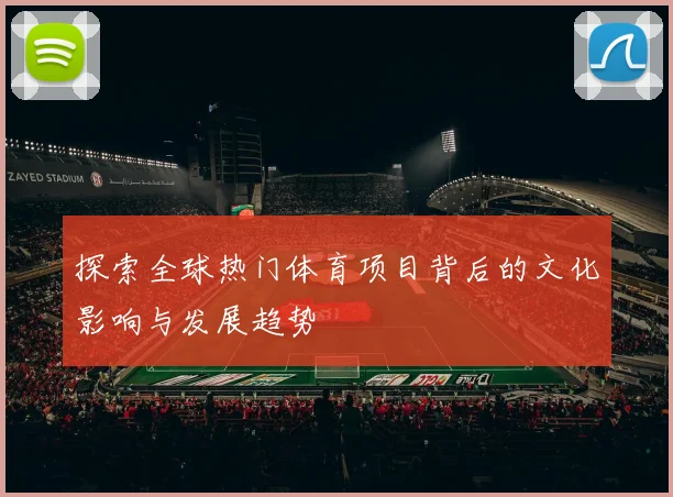 探索全球热门体育项目背后的文化影响与发展趋势