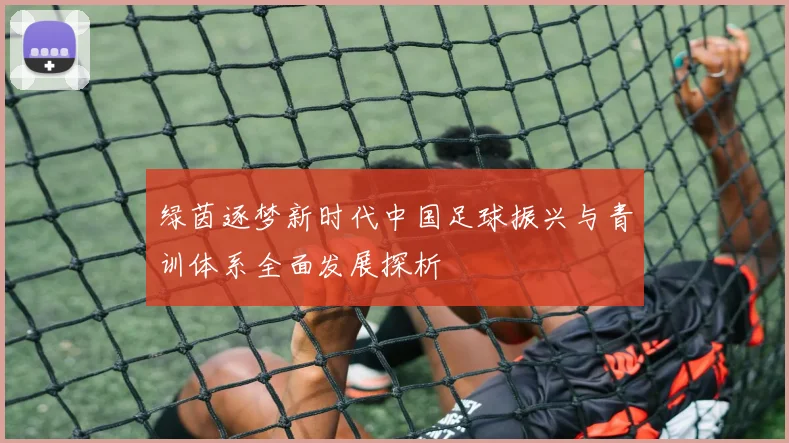 绿茵逐梦新时代中国足球振兴与青训体系全面发展探析