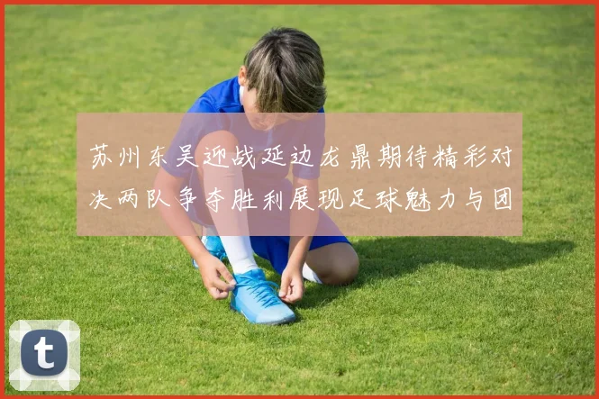 苏州东吴迎战延边龙鼎期待精彩对决两队争夺胜利展现足球魅力与团队精神