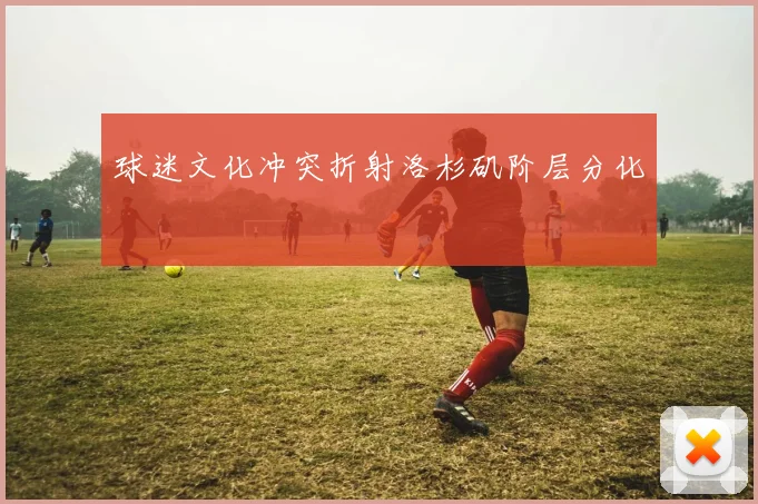 球迷文化冲突折射洛杉矶阶层分化