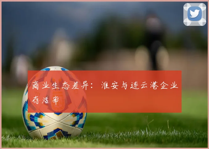 商业生态差异：淮安与连云港企业存活率