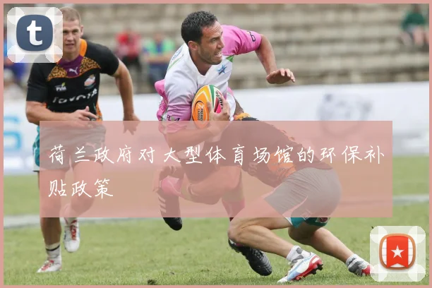 荷兰政府对大型体育场馆的环保补贴政策