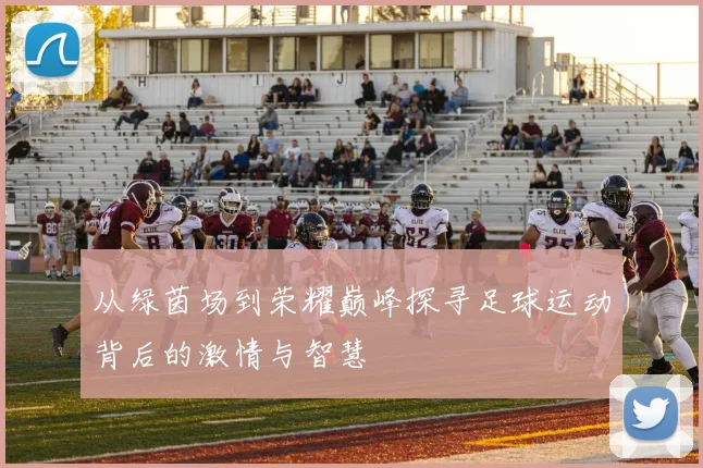 从绿茵场到荣耀巅峰探寻足球运动背后的激情与智慧