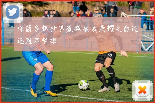 绿茵争锋世界豪强激战荣耀之巅追逐冠军梦想