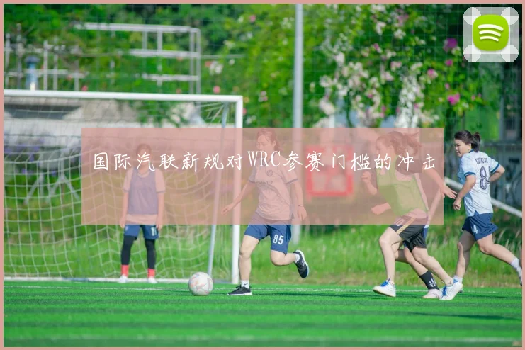 国际汽联新规对WRC参赛门槛的冲击