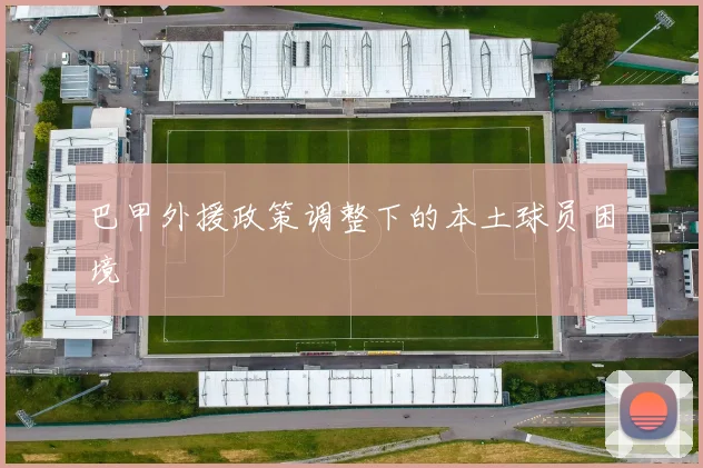 巴甲外援政策调整下的本土球员困境